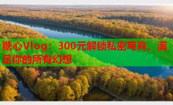 糖心Vlog:300元解锁私密写真,满足你的所有幻想