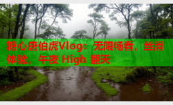 糖心唐伯虎Vlog:无限畅看,丝滑体验,午夜 High 翻天
