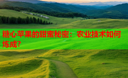 糖心苹果的甜蜜秘密:农业技术如何炼成?