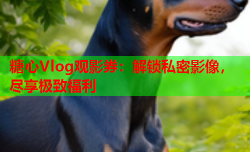 糖心Vlog观影券:解锁私密影像,尽享极致福利