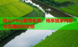 糖心Vlog至尊会员:畅享独家内容与无限创作灵感