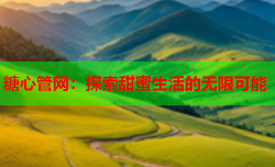 糖心管网:探索甜蜜生活的无限可能