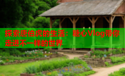 探索唐伯虎的生活:糖心Vlog带你走进不一样的世界