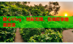 糖心Vlog - 精彩无限,在线即享绝美资源