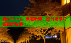 糖心Vlog:极速缓存,随时畅享海量视频资源