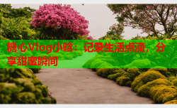 糖心Vlog小晗:记录生活点滴,分享甜蜜瞬间