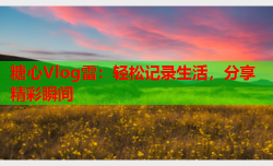 糖心Vlog雷:轻松记录生活,分享精彩瞬间