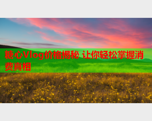 糖心Vlog价格揭秘 让你轻松掌握消费真相  第1张 糖心Vlog价格揭秘 让你轻松掌握消费真相  第1张