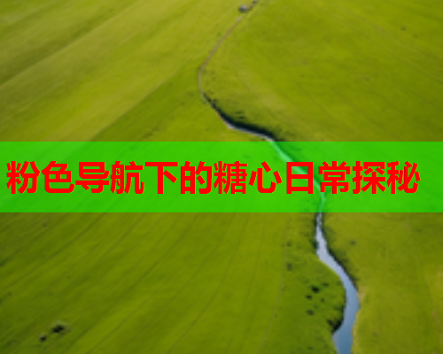 粉色导航下的糖心日常探秘  第2张 粉色导航下的糖心日常探秘  第2张