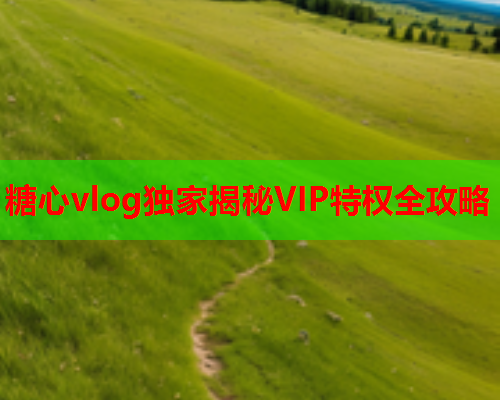 糖心vlog独家揭秘VIP特权全攻略  第1张 糖心vlog独家揭秘VIP特权全攻略  第1张