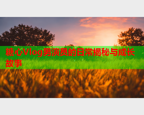 糖心Vlog男演员的日常揭秘与成长故事  第2张 糖心Vlog男演员的日常揭秘与成长故事  第2张