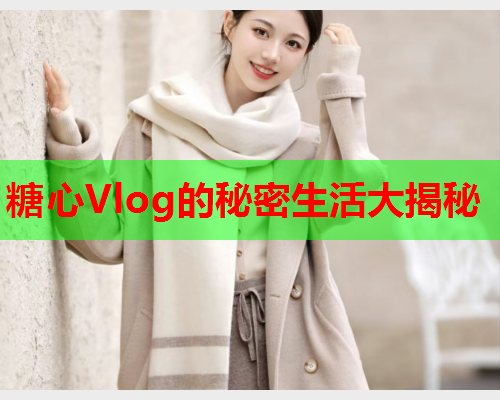 糖心Vlog的秘密生活大揭秘  第2张 糖心Vlog的秘密生活大揭秘  第2张