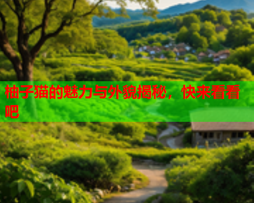 柚子猫的魅力与外貌揭秘,快来看看吧  第1张 柚子猫的魅力与外貌揭秘,快来看看吧  第1张