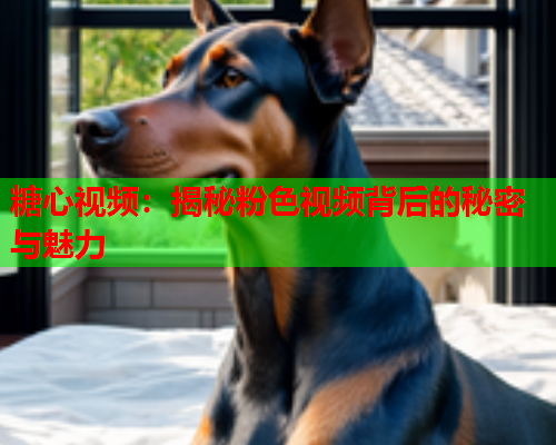 糖心视频:揭秘粉色视频背后的秘密与魅力  第1张 糖心视频:揭秘粉色视频背后的秘密与魅力  第1张