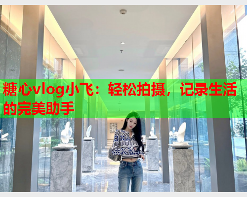 糖心vlog小飞:轻松拍摄,记录生活的完美助手  第1张 糖心vlog小飞:轻松拍摄,记录生活的完美助手  第1张