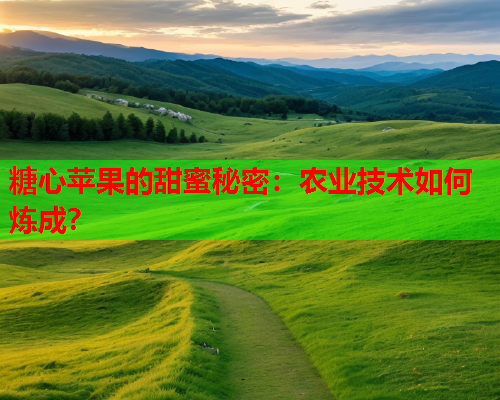 糖心苹果的甜蜜秘密:农业技术如何炼成?  第1张 糖心苹果的甜蜜秘密:农业技术如何炼成?  第1张