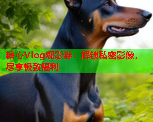 糖心Vlog观影券:解锁私密影像,尽享极致福利  第1张 糖心Vlog观影券:解锁私密影像,尽享极致福利  第1张
