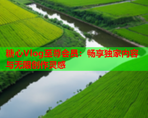 糖心Vlog至尊会员:畅享独家内容与无限创作灵感  第1张 糖心Vlog至尊会员:畅享独家内容与无限创作灵感  第1张